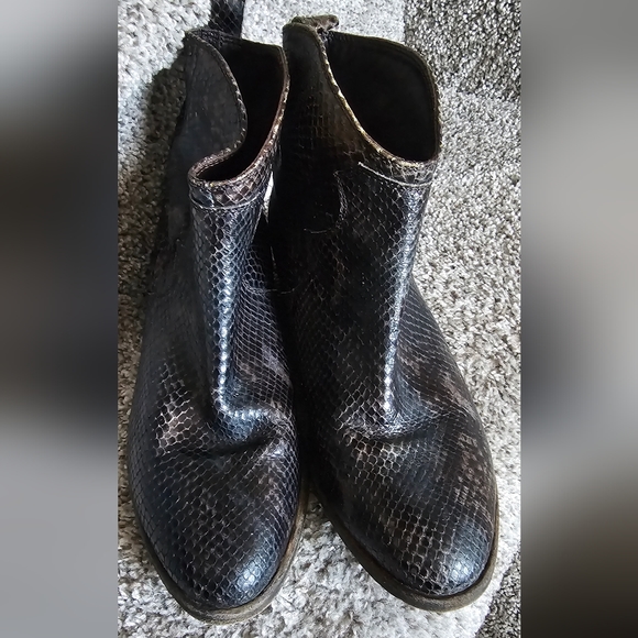 AGL Wyatt ankle boots - Picture 2 of 7